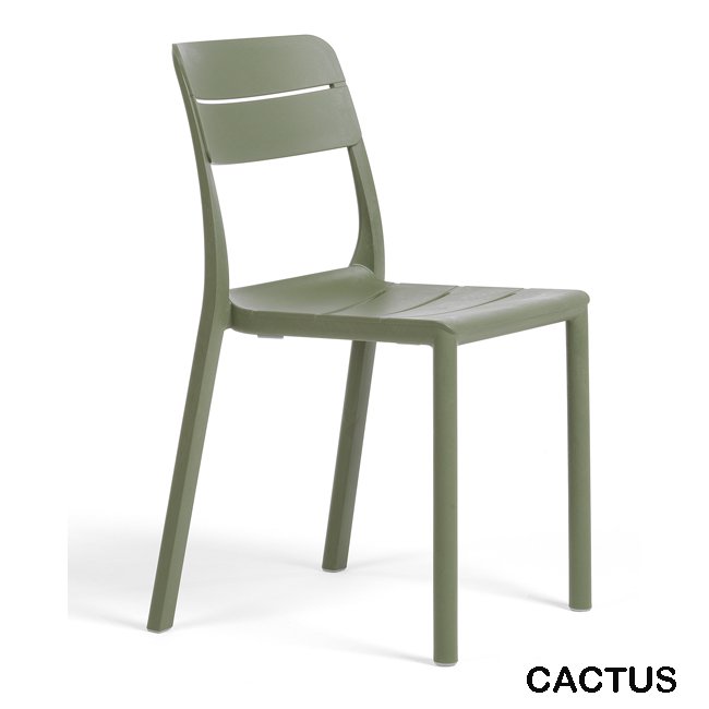 NARDI_CASSIA_BISTRO_CACTUS